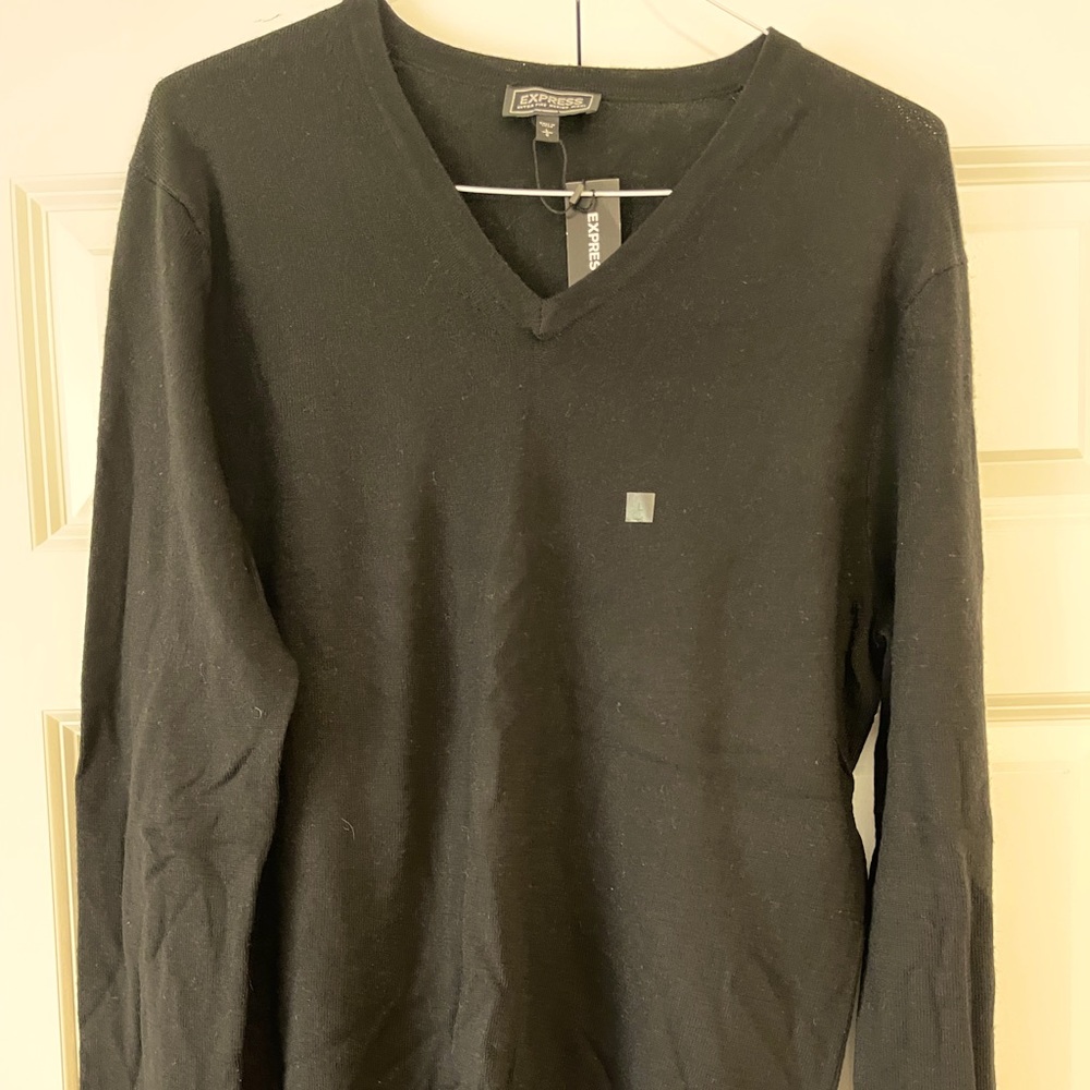 Express Merino Wool V-Neck Sweater